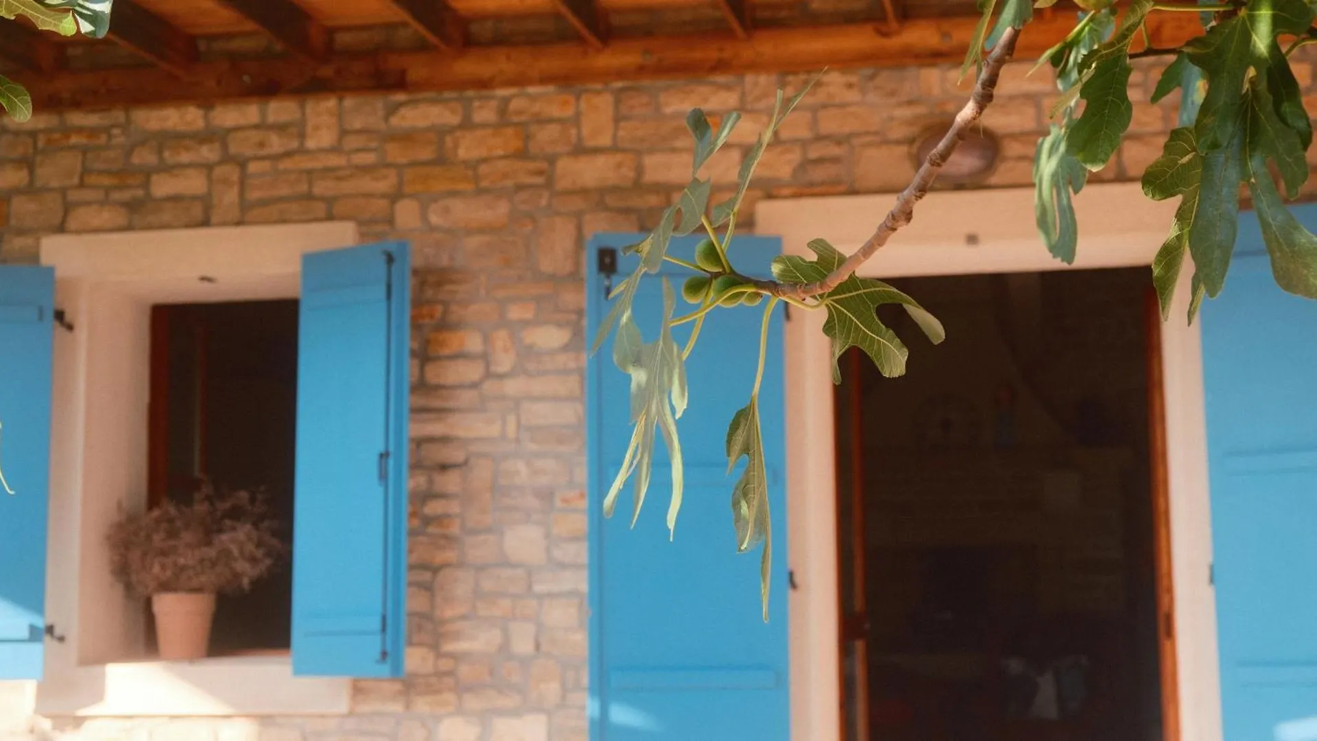 Casa vacanze Villa Kamena Kuca Mamma Mia Sukošan